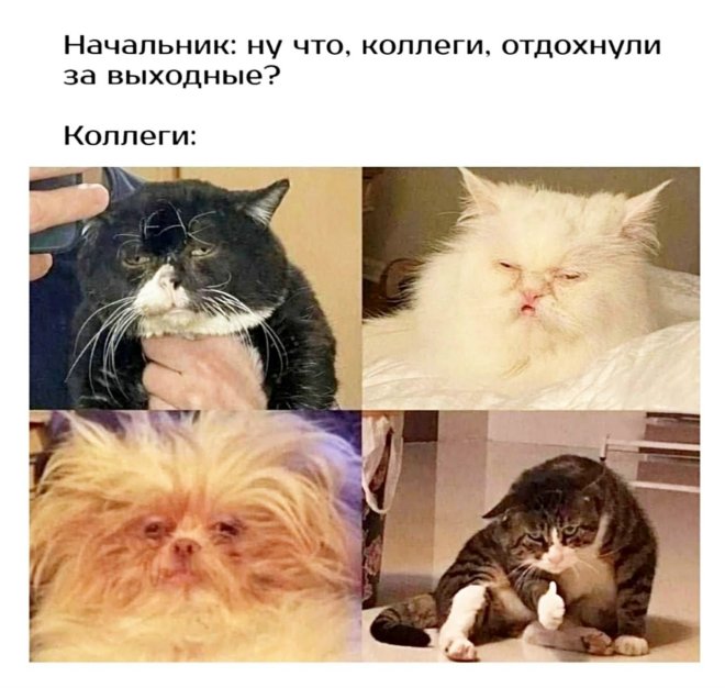 ������� ����� �������� � ����� �� ���� (30 ����)