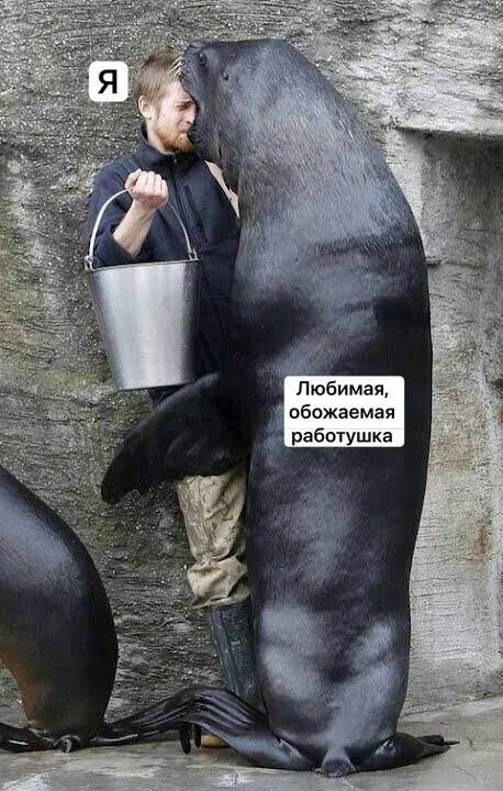 ������� ����� �������� � ����� �� ���� (30 ����)