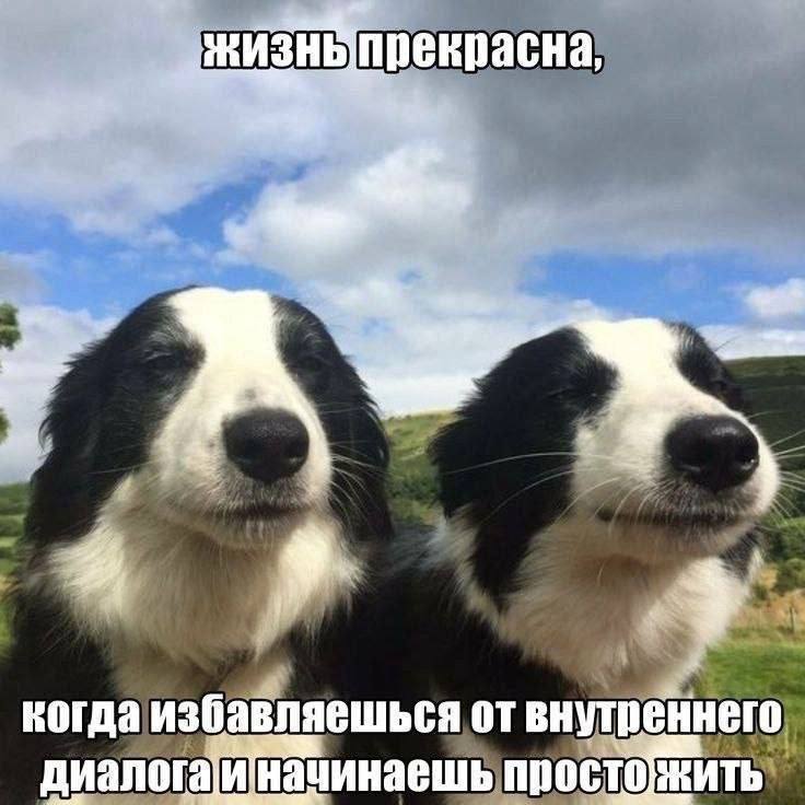 ������� ����� �������� � ����� �� ���� (30 ����)