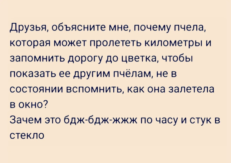 ������� ����� �������� � ����� �� ���� (30 ����)