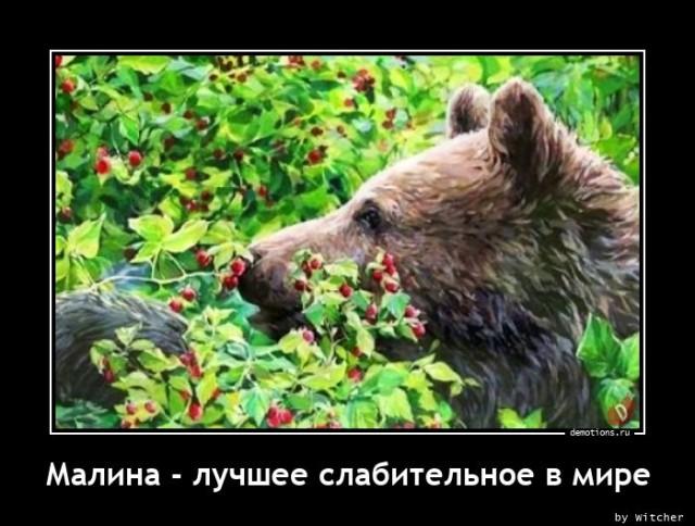 Демотиваторы пятницы (17 фото)
