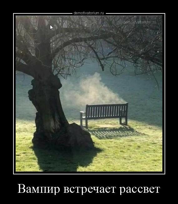 Демотиваторы пятницы (17 фото)