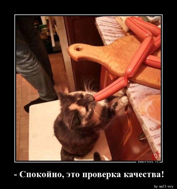 Демотиваторы пятницы (17 фото)