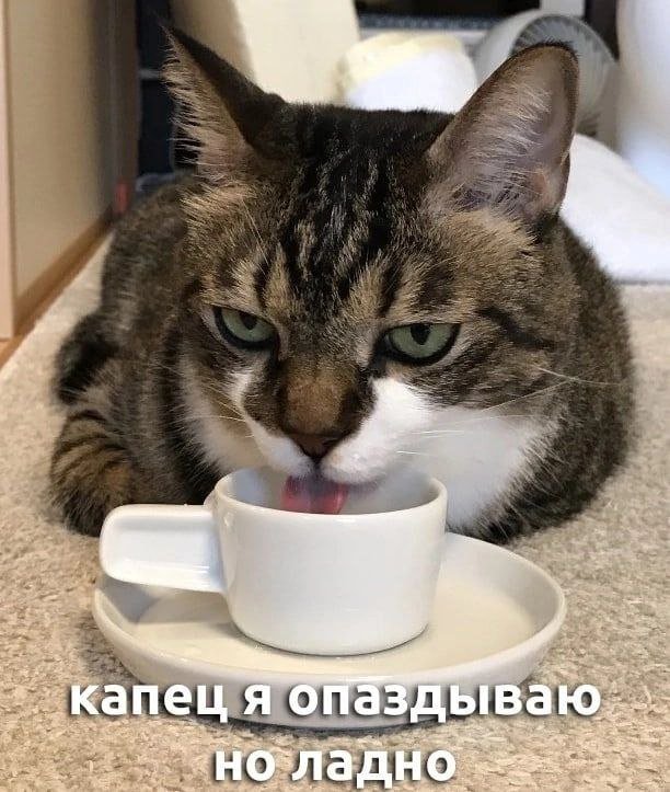 !      (32 )