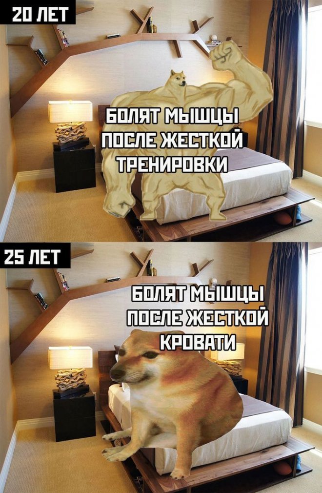 !      (32 )