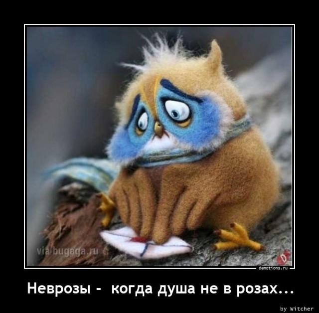 Демотиваторы среды (20 фото)