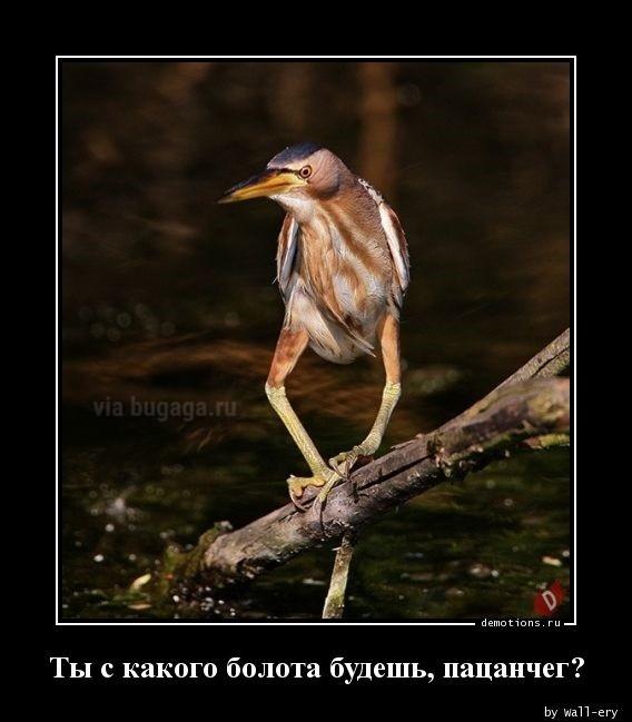 Демотиваторы среды (20 фото)