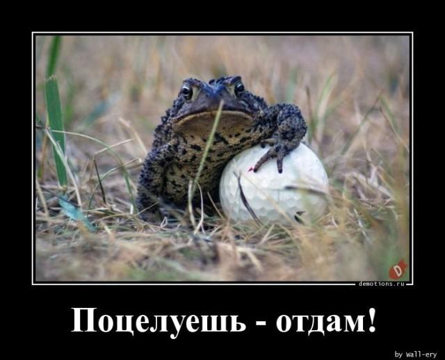 Демотиваторы среды (20 фото)