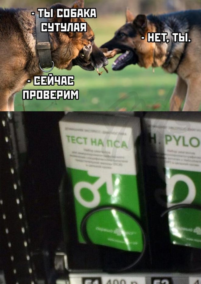 ������� ������� ����� �� ���� (25 ����)