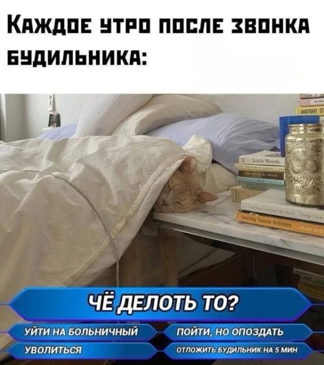 ������� ������� ����� �� ���� (25 ����)