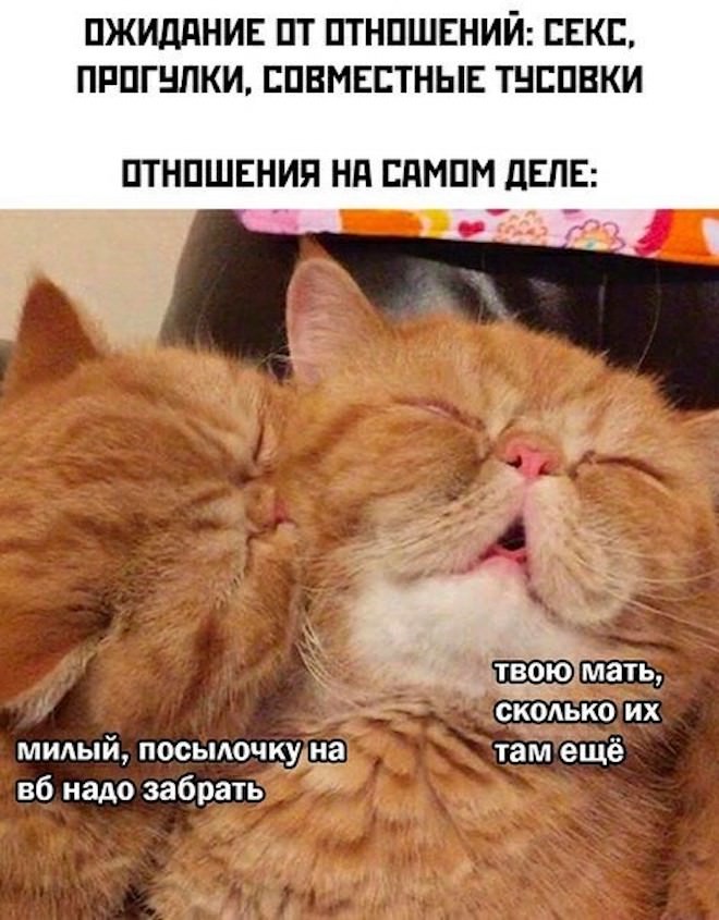 ������� ������� ����� �� ���� (25 ����)