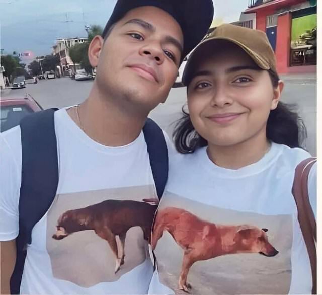 ������� ������� ����� �� ���� (25 ����)