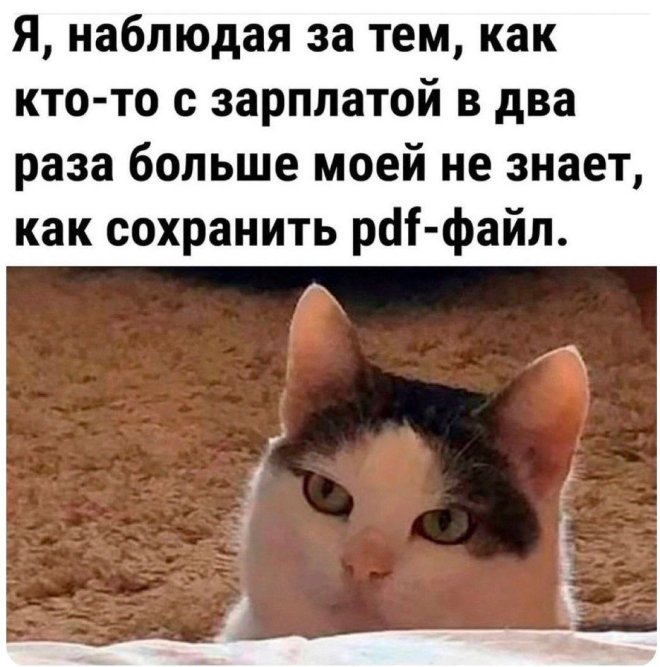 ������� ������� ����� �� ���� (25 ����)