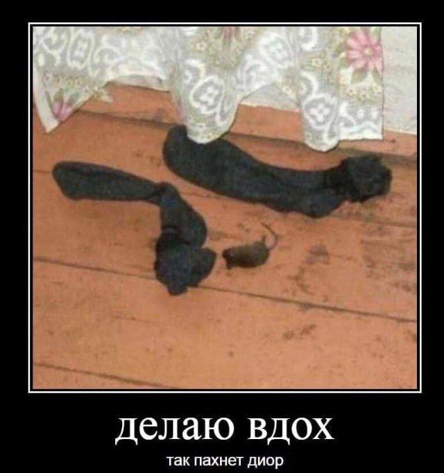 Демотиваторы среды (20 фото)