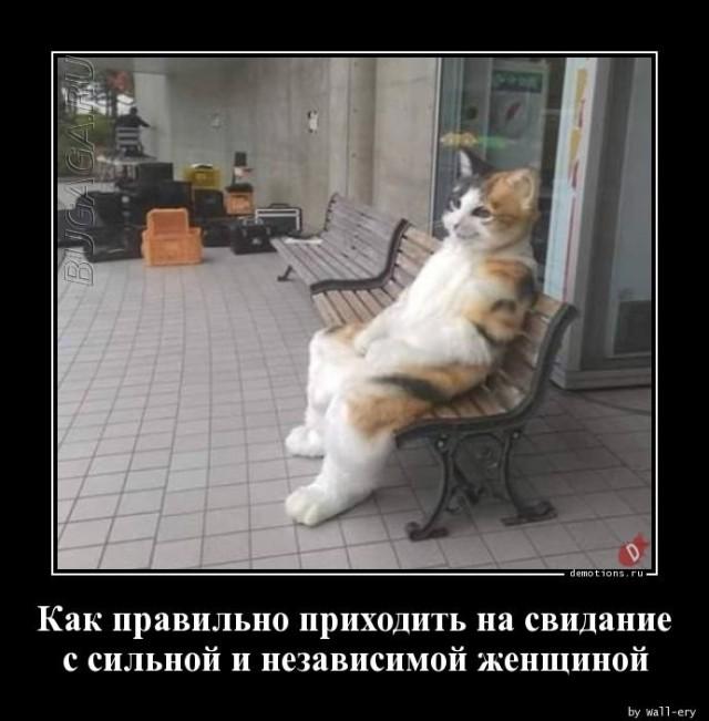 Демотиваторы среды (20 фото)