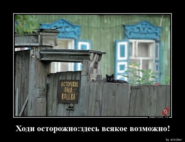 Демотиваторы среды (20 фото)