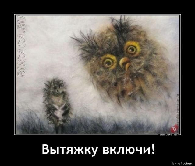 Демотиваторы среды (20 фото)