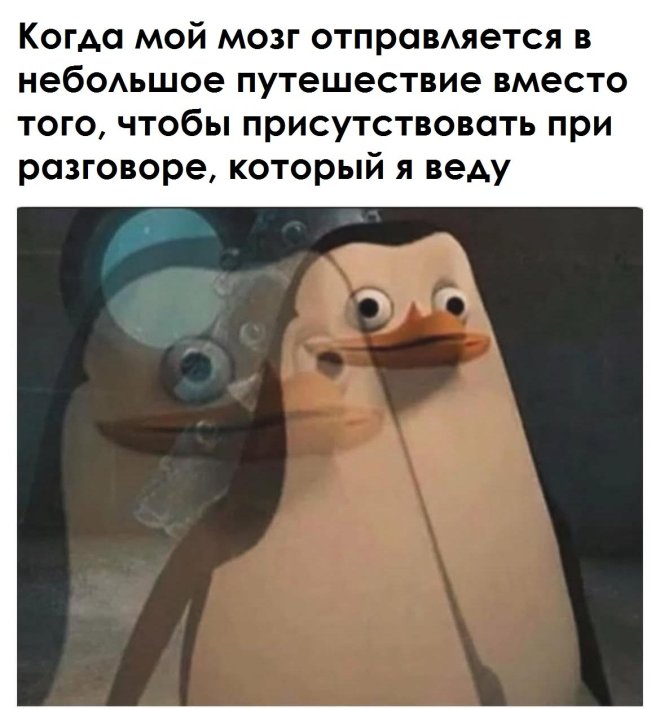 Свежие мемы и приколы из сети (40 фото)