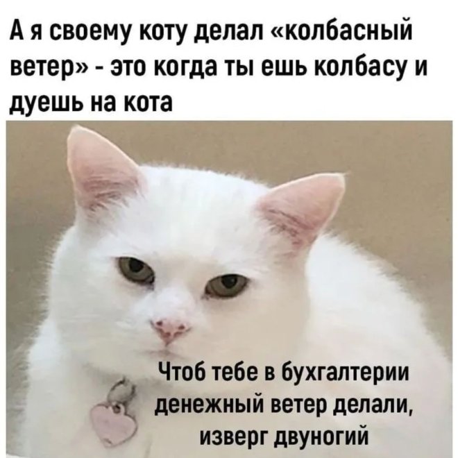 Свежие мемы и приколы из сети (40 фото)