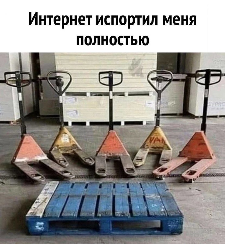 Свежие мемы и приколы из сети (40 фото)