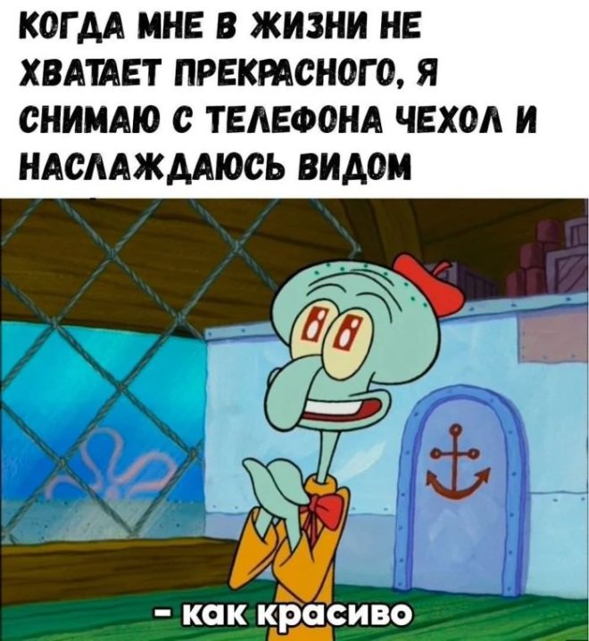 Свежие мемы и приколы из сети (40 фото)