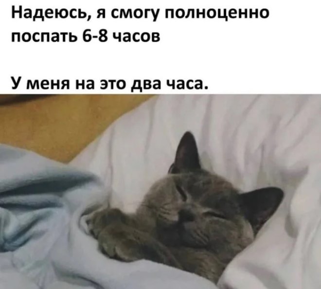 Свежие мемы и приколы из сети (40 фото)