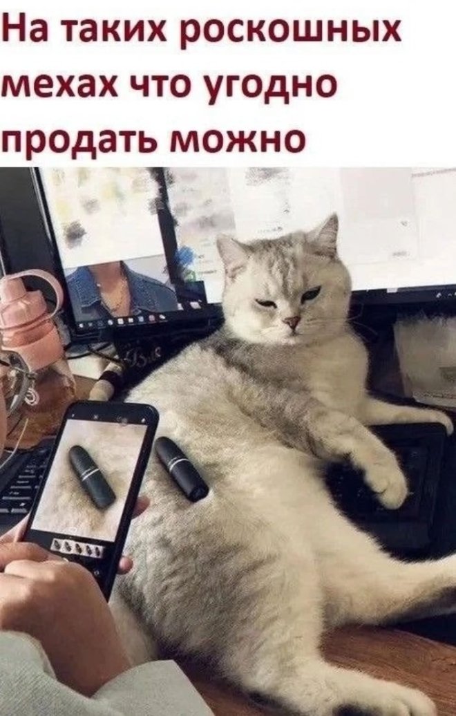 Свежие мемы и приколы из сети (40 фото)