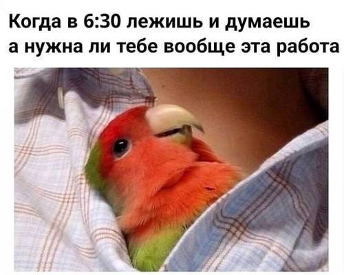 !       (35 )
