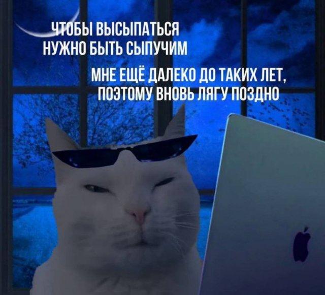 !     (15 )
