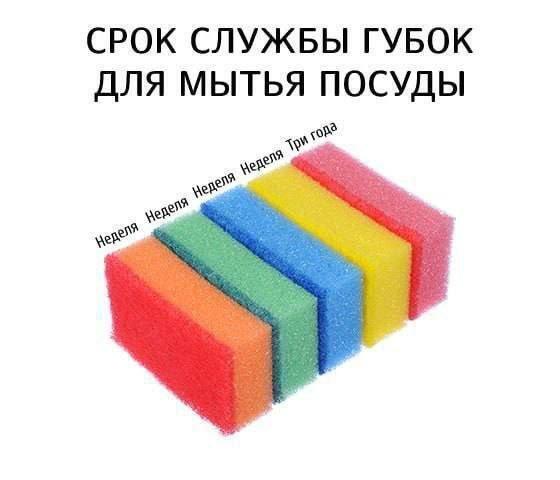 !     (15 )