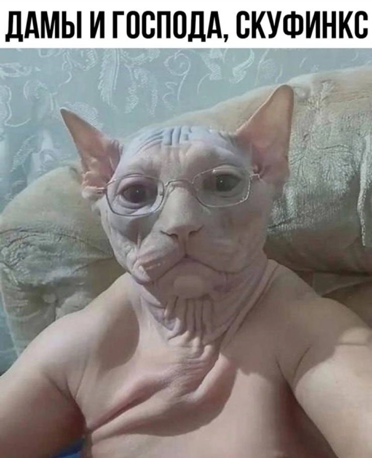 !      (30 )