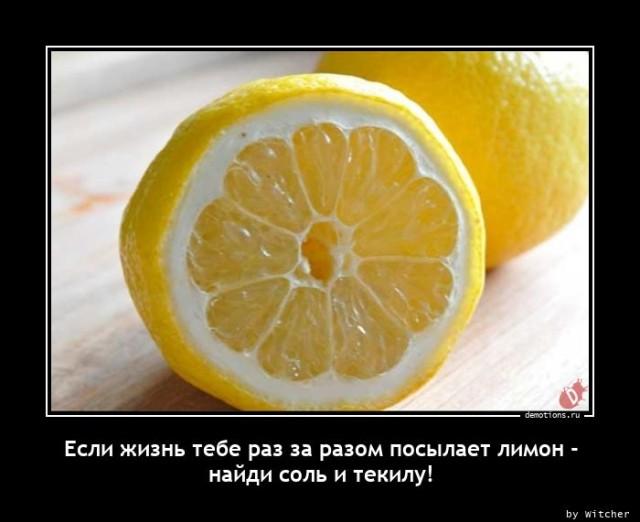 Демотиваторы понедельника (15 фото)