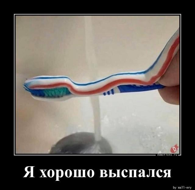 Демотиваторы понедельника (15 фото)