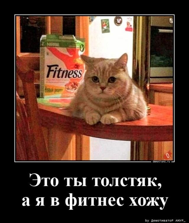 Демотиваторы понедельника (15 фото)