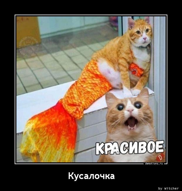 Демотиваторы понедельника (15 фото)