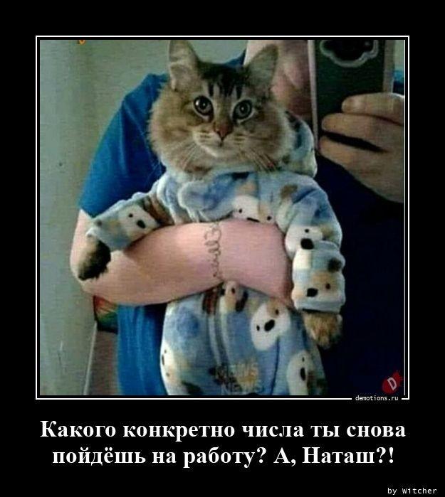 Демотиваторы понедельника (15 фото)