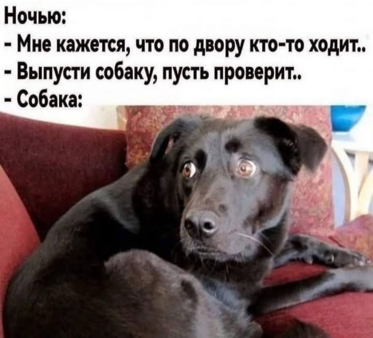 !     (28 )