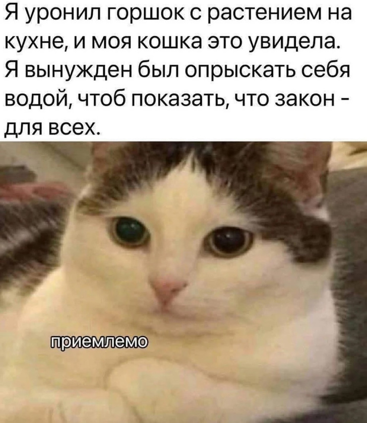 !     (28 )