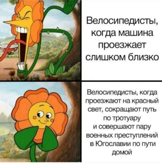 !     (28 )