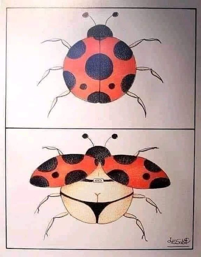 !     (28 )