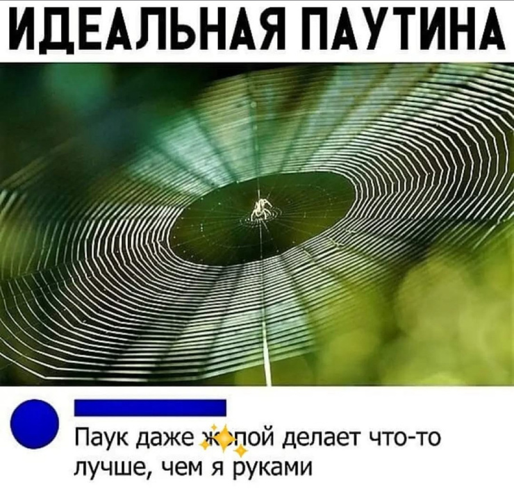 !     (28 )