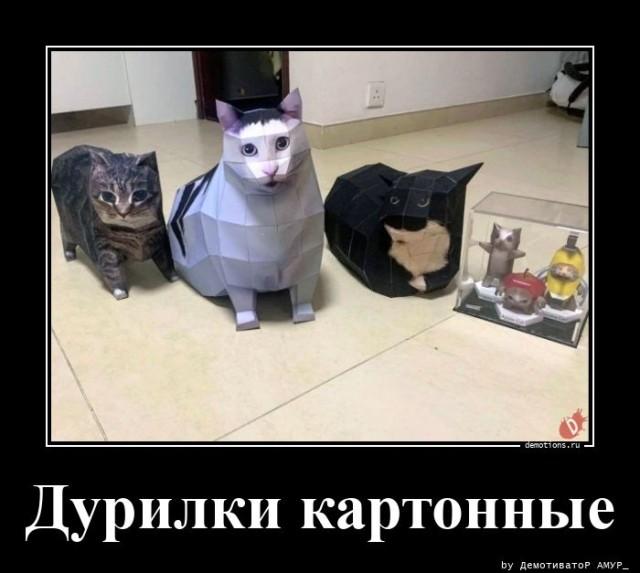 Демотиваторы четверга (15 фото)
