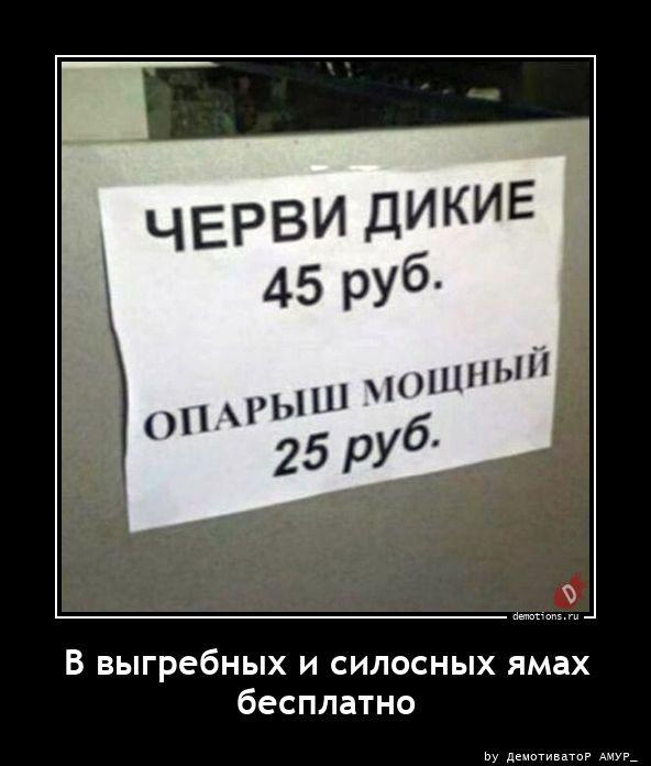 Демотиваторы четверга (15 фото)