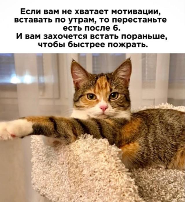 Ассорти забавных приколов и мемов (30 фото)