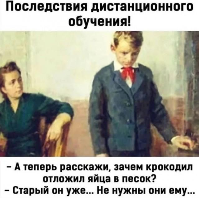 !      (15 )