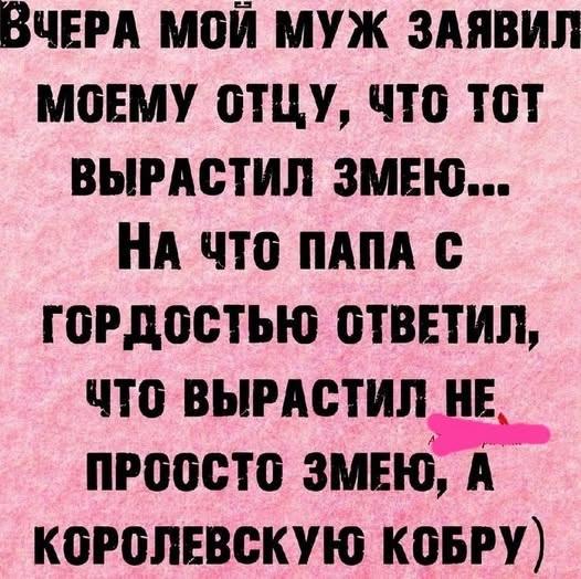 !      (15 )