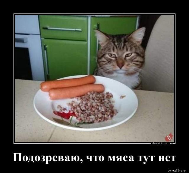 Демотиваторы понедельника (20 фото)