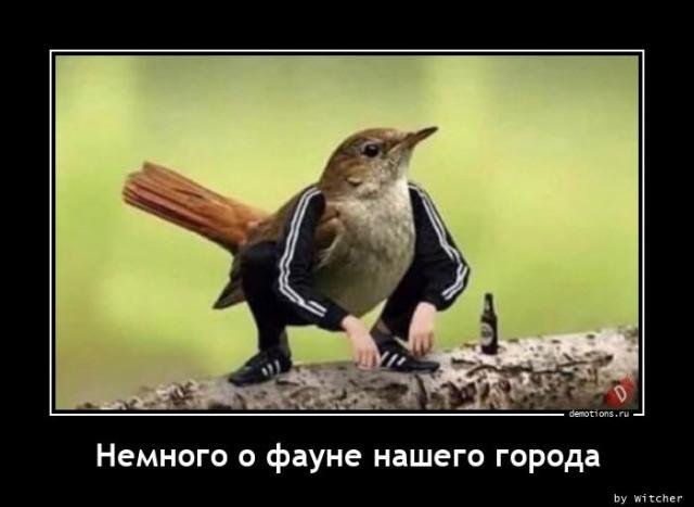 Демотиваторы понедельника (20 фото)