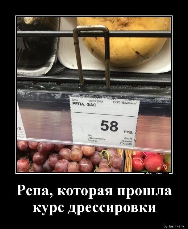 Демотиваторы понедельника (20 фото)