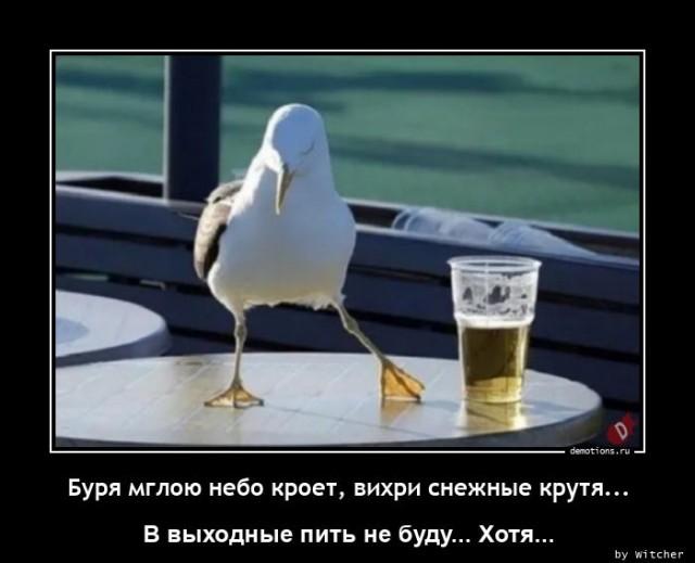 Демотиваторы понедельника (20 фото)